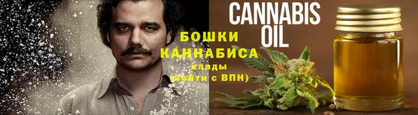 спайс Богданович