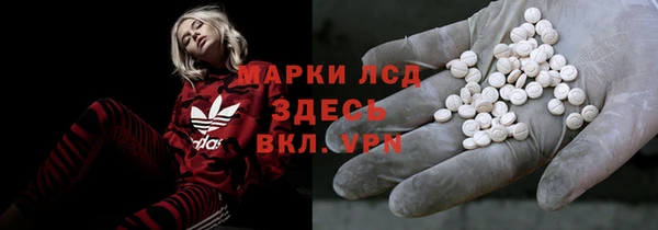 спайс Богданович