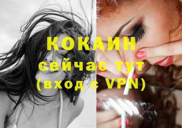 спайс Богданович