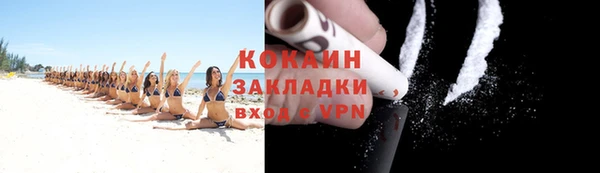 спайс Богданович