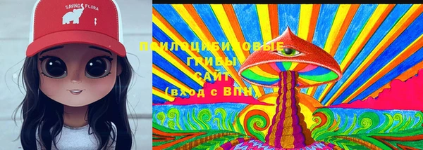 спайс Богданович
