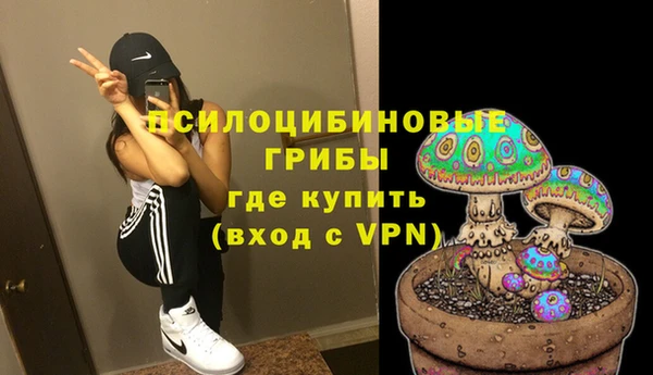 СК Бородино