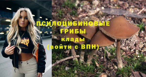 винт Бронницы