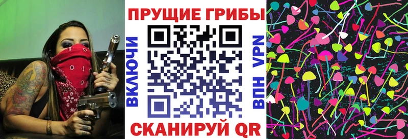 kraken ONION Киренск Псилоцибиновые грибы Cubensis